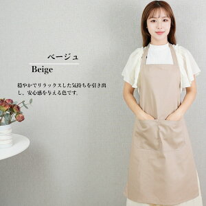 Gv jp H | TCY߉\ eʃ|Pbgt ɂ Vh~ Lb`Gv ƒGv  GvY GvfB[X VvGv