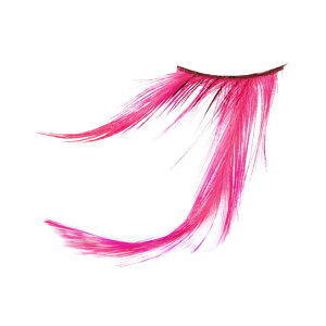 tFU[ ACbV H ܂ sN o[r[ O J[ ڌ {[ h pb` CN  RX`[ ߏ G 킢 ZNV[ _X  Xe[W V[