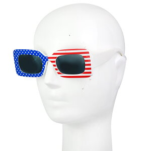 AJ TOX 傫 XNGA lp ߂ Kl ዾ US tbO RXv RX`[ ߏ ߑ ANZ J`[V ANZ ZNV[ 킢 _X  Xe[W V[ N