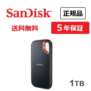 SanDisk GNXg[ |[^uSSD 1TB SDSSDE61-1T00-J25
