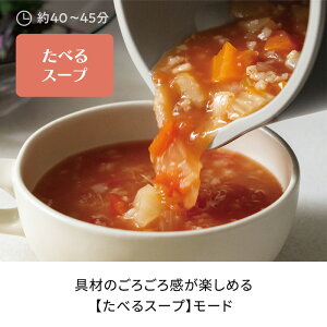 レコルトrecolte自動調理ポットラージLarge800mlRSY-3 食べるスープ