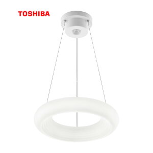  TOSHIBA y5Nۏ؁z V[OCg NLEP12000A-LC LEDy_gO^Cv 12p  F Rt