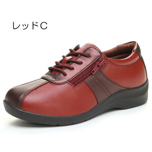 [X^[ Cu EVE 195 fB[X RtH[gV[Y JWAV[Y C 4E L wlC O t@Xi[