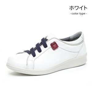 [X^[ X|X fB[X 3E RtH[gV[Y fB[X EH[LOV[Y Xj[J[ {v y  C SPORTH SP2500