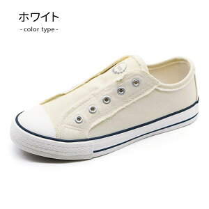 Xb| fB[X Xj[J[ RȂ XbvI tbgV[Y [Jbg vv C  Hashed Coorde HC16361