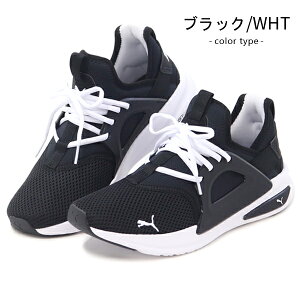 PUMA v[} fB[X Y Xj[J[ jOV[Y C EH[LOV[Y Xb| \tgCh \tgCh G] GH SOFTRIDE ENZO EVO