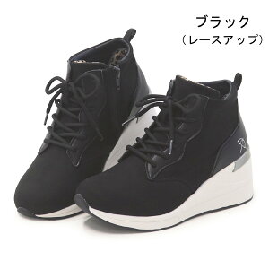 A[mhp[}[ u[c fB[X V[gu[c  Xj[J[ h  t@Xi[  킢 C Arnold Palmer AN7550 AN7551