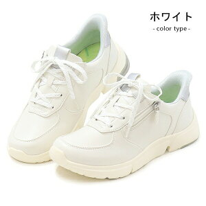 [X^[ Cu EVE 334 g킸ɗC fB[X RtH[gV[Y ЂC RC t@Xi[ nYt[ C JWAV[Y 4E L wlC gȂ moonstar