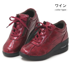 New Pepe  Xj[J[ fB[X V[Y C RtH[gV[Y JWAV[Y wlC EFbW\[ TChWbp[ t@Xi[ r 