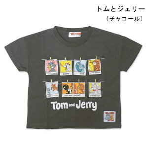 fBYj[ gƃWF[ ~jIY TVc  LbY xr[ ~j[ Vc TVc q j̎q ̎q xr[ LN^[