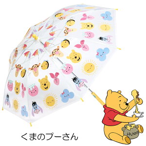 P LbY ̎q fBYj[ vZX Ai LbYP ct ۈ牀  j ʉ  LN^[P AiƐ̏ v[ ~bL[ J[Y g~J ǂP j̎q LbY J