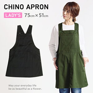 Gv Tybg JtFGv O  h^ fB[X `m JtF ۈm n Vv l  ubN Ԃ邾 Ɩp k 킢 XbN Gloria GAP9940