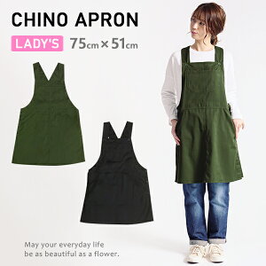 Gv Tybg JtFGv O  h^ fB[X `m JtF ۈm n Vv l  ubN Ԃ邾 Ɩp k 킢 XbN Gloria GAP9940