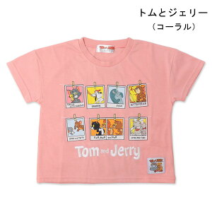 fBYj[ gƃWF[ ~jIY TVc  LbY xr[ ~j[ Vc TVc q j̎q ̎q xr[ LN^[