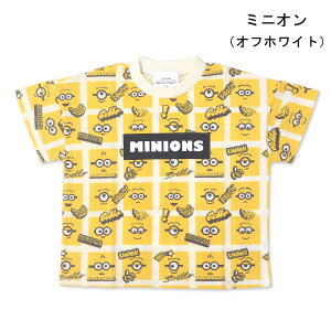 fBYj[ gƃWF[ ~jIY TVc  LbY xr[ ~j[ Vc TVc q j̎q ̎q xr[ LN^[