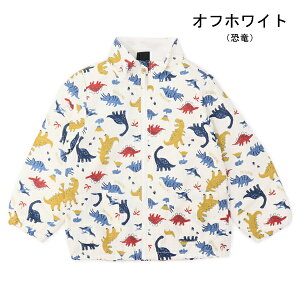 iCWPbg EBhu[J[ }Eep[J[ LbY Wp[ AE^[ u] VJVJ xr[ j̎q q 㒅   _Ci\[ N H t t[hȂ