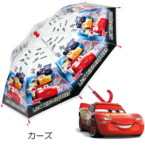 P LbY ̎q fBYj[ vZX Ai LbYP ct ۈ牀  j ʉ  LN^[P AiƐ̏ v[ ~bL[ J[Y g~J ǂP j̎q LbY J