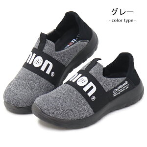 bNV[Y Xb| Y Xj[J[ T{T_ Ƃ߂ ou[V ₷ C  ubN O[ 76Lubricants UNION76 3058