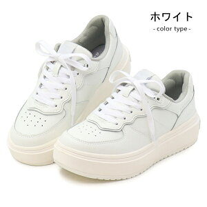 [X^[ B/M m}hCh Xj[J[ fB[X Y  EH[LOV[Y JWAV[Y R[gV[Y C