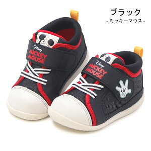 fBYj[ C Xj[J[ ~bL[ ~j[ hih_bN xr[V[Y LbYV[Y LbY q j̎q ̎q LN^[ DN B1357 B1300