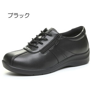 [X^[ Cu EVE 195 fB[X RtH[gV[Y JWAV[Y C 4E L wlC O t@Xi[