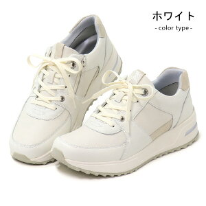 [X^[ X|X fB[X 3E O RtH[gV[Y Xj[J[ EH[LOV[Y t@Xi[ L y  [Jbg JWA C d SPORTH SP0800