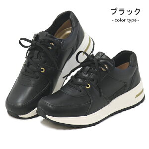 [X^[ X|X fB[X 3E O RtH[gV[Y Xj[J[ EH[LOV[Y t@Xi[ L y  [Jbg JWA C d SPORTH SP0800