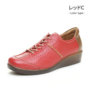 [X^[ X|X fB[X 4E RtH[gV[Y EH[LOV[Y Xj[J[ {v y  C { SPORTH SP2401