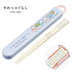 お箸 子供 お箸セット 女の子 ディズニー プリンセス サンリオ キティ マイメロディ アナ雪 アナと雪の女王 すみっコぐらし 子ども 抗菌 ケース付き スライド式 箸 食洗器対応 箸箱 キャラク