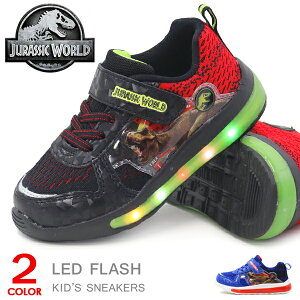 C  WVbN[h Xj[J[ LbY j̎q C qC }WbN LbYV[Y 20151 