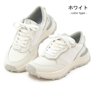 [X^[ Xj[J[ fB[X Y  EH[LOV[Y _bhXj[J[ _bhV[Y B/M X C