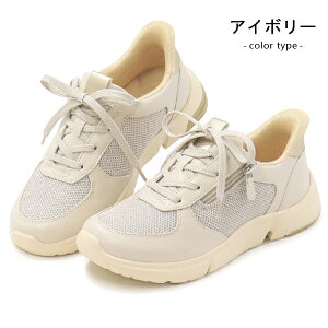 [X^[ Cu EVE 334 g킸ɗC fB[X RtH[gV[Y ЂC RC t@Xi[ nYt[ C JWAV[Y 4E L wlC gȂ moonstar