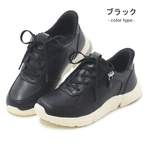 [X^[ Cu EVE 334 g킸ɗC fB[X RtH[gV[Y ЂC RC t@Xi[ nYt[ C JWAV[Y 4E L wlC gȂ moonstar