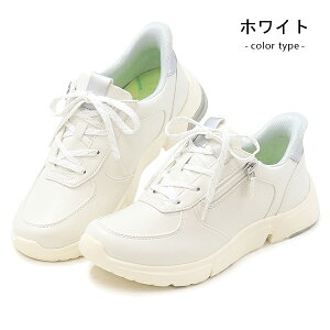 [X^[ Cu EVE 334 g킸ɗC fB[X RtH[gV[Y ЂC RC t@Xi[ nYt[ C JWAV[Y 4E L wlC gȂ moonstar