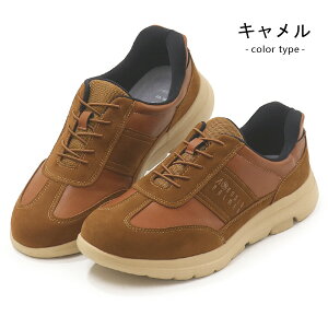 A[mhp[}[ Xb| g킸ɗC Y JWAV[Y Xj[J[ XbvC nYt[ C gȂ ₷ ɂ ₷  Arnold Palmer 