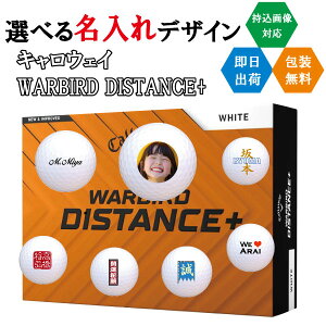 St{[  LEFC WARBIRD fBX^X+ 3cƓoבΉ