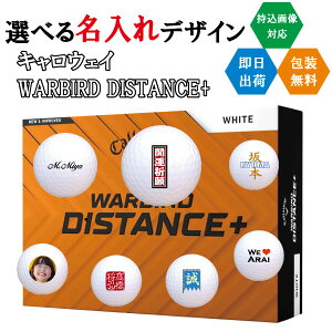 St{[  LEFC WARBIRD fBX^X+ 3cƓoבΉ