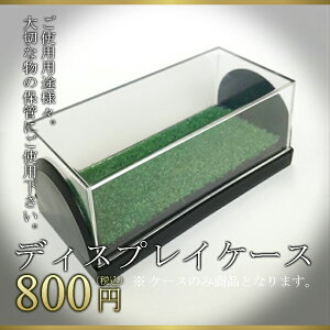 yoׁz(yj) St{[ {[P[X St{[  St{[3p̃fBXvCP[X(P[X݂̂̏iƂȂ܂) җ ސE a ̓ Ry z[