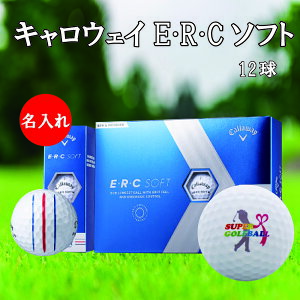 3cƓoבΉ  St{[ St{[  LEFC EEREC\tg gvgbN 1_[X(12) 1_[X(12) yfUCz җ ސE a ̓ R