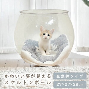 L  27×28cm  Lp ybgp ybgpi lR ˂ ybgxbh  FD ANFD NA{E {E XPg{[ {E ybgnEX LnEX Lxbh L