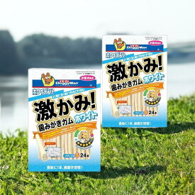 ホワイデント 激かみ！歯みがきガム ホワイト スティックS(24本入)×2袋セット いぬ 小型犬向き ドギーマン／DoggyMan 犬用おやつ ガム ペット 送料無料☆3【4632】