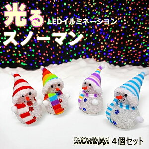  Xm[} NX}X LED C~l[V 4Zbg  NAP[X聦F͑Iׂ܂ dr fBXvC I[ig SNOW MAN6y5710z