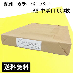 J[y[p[ IB F㎿  A3 500 ܂Ԃ  p J[ F p F CG[ J[p  Ft H ܂莆 \ CXg ؂G f POP ct ۈ牀 wZ