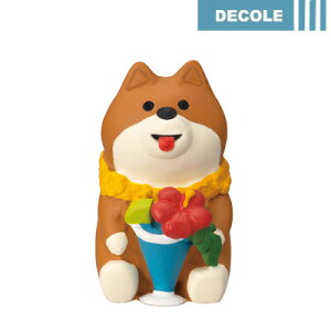 fR RRu p_CX ZSV-62814D  RRV[Y ~j`A u  CeA  킢 RpNg    Ck G V DECOLE concombrey1903z