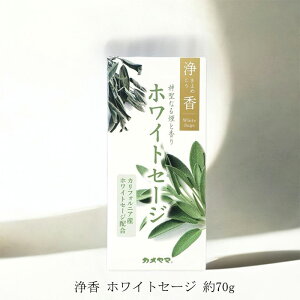 J}  zCgZ[W 70g    ߂y4504z