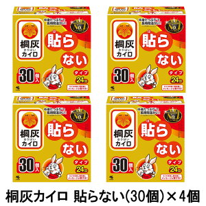 ˊDJC \Ȃ (30)×4 120 \ȂJC zbJC ق JC găJC ѐ ܂Ƃߔ  8y4504z