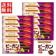 ビーガンカカオバー ラムレーズン×10個セット UHA味覚糖 ビーガン 乳・卵・小麦・精製糖不使用スーパー…