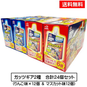 KbcMA 2(24Zbg) }XJbg ×12{񂲖×12 A~moC^[[hN [[ GlM[⋋ h{⋋ ܂Ƃߔ q qǂ X|[c  ^  A~