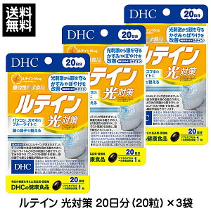 DHC eC ΍ 20 (20)×3 60 Tvg fB[GC`V[ @\\Hi Tvg Tv 󂠂 A ܖԋ 2026N5  1y3167z
