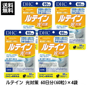 DHC eC ΍ 60(60) ×4 240 @\\Hi Tvg Tv fB[GC`V[ 󂠂 A ܖԊԋ 2026N11  1y3167z